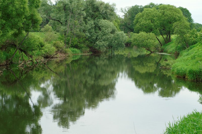 luzha